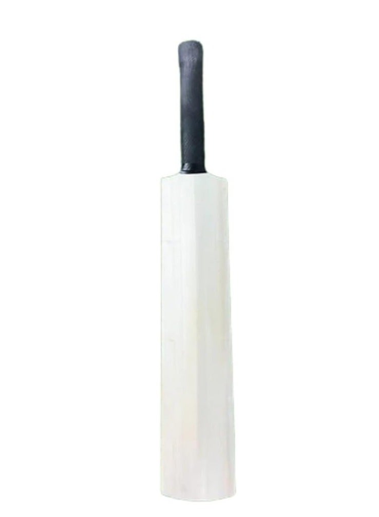 CA Autograph Mini Cricket Bat – Collector’s Edition Bat 18inch (Not For Playing) - Image 1